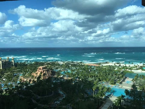 15895158 1394019340608363 5759706443602390781 n jpeg