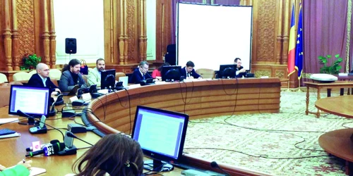 Remus Cernea la Camera Deputaţilor