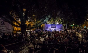„Blues ul ne aşază într un fel bun, doar de el ştiut“ – interviu cu Cristian ANTONESCU jpeg