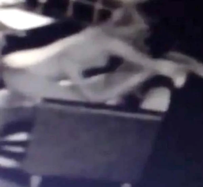 
    Au făcut sex fără să țină cont că se află într-un loc public Foto: CEN  