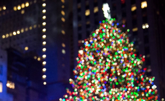 Decorul a fost unul de vis, deloc încărcatfoto: Arhiva Personală