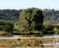 Ostrov - punct turistic al vinului din Dobrogea Foto Ion D.