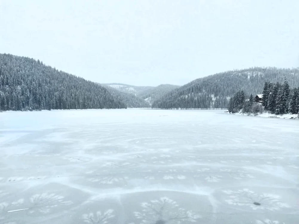 Gravuri naturale pe Lacul Beliș: Foto: Raul Ghiran, președintele Rescue Transilvania