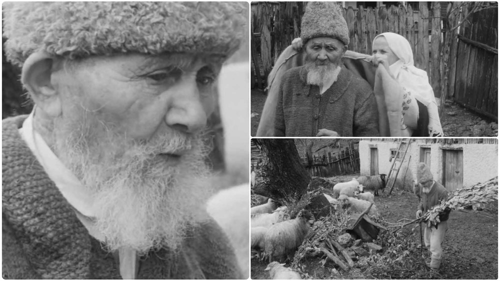 Secretele ciobanului care ajunsese la 135 de ani în comunism: „Am mers pe jos, peste 80 de kilometri, până la Turnu Severin”   