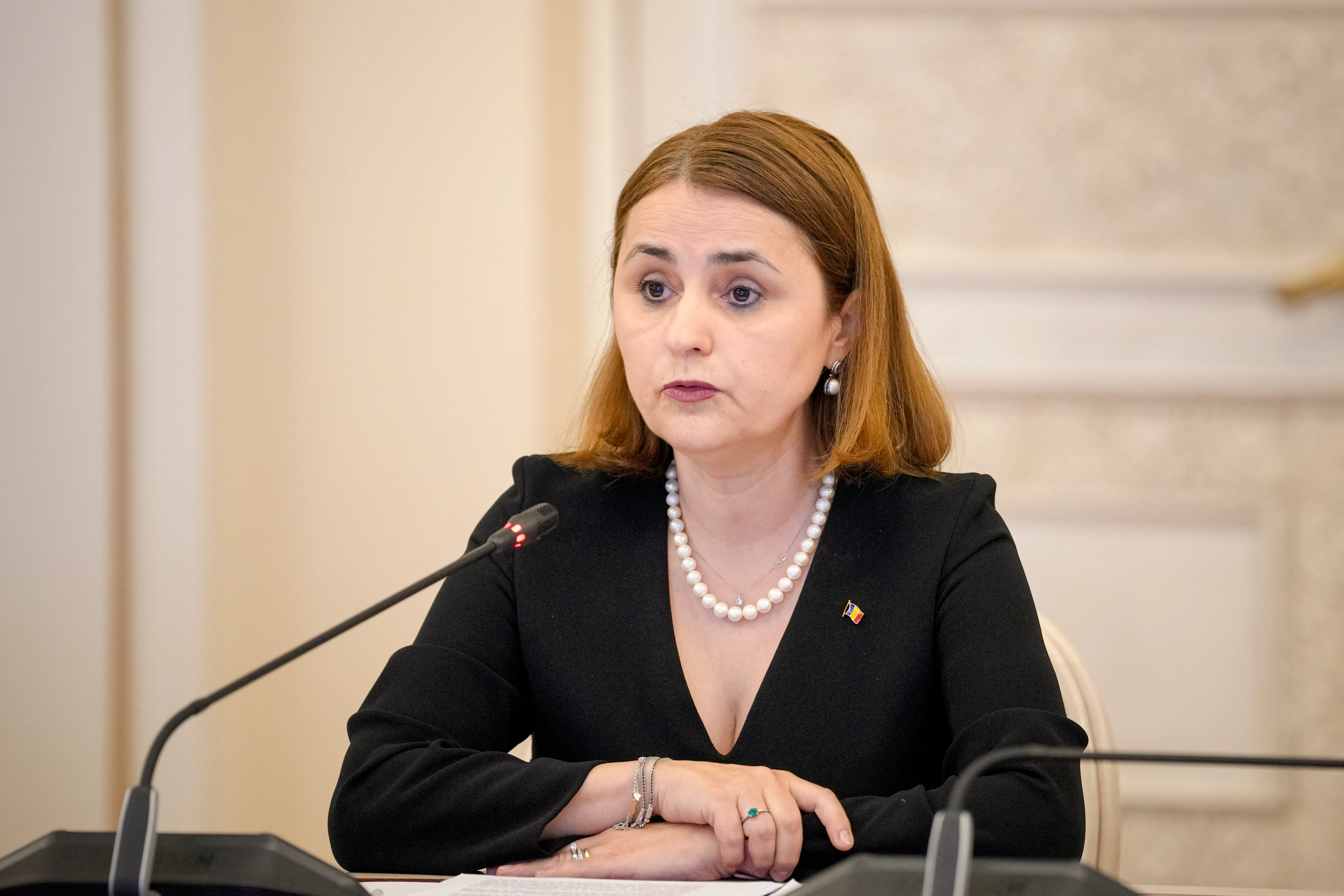 Odobescu, întâlnire Cu Ambasadoarea Regatului Țărilor De Jos. Discuții ...