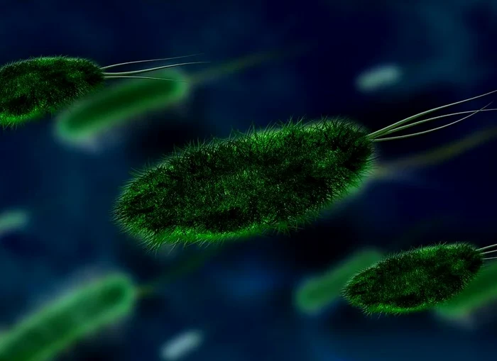 Bilanțul persoanelor ucise de gripa sezonieră a ajuns la 35 în țara noastrăFoto: Pixabay