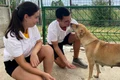 caine adapost aspa voluntari turci jpeg