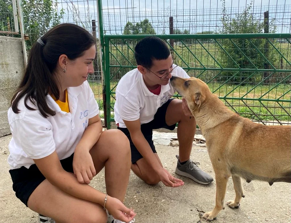Tinerii voluntari își petrec timpul alături de câinii din adăposturiFotografii: ASPA
