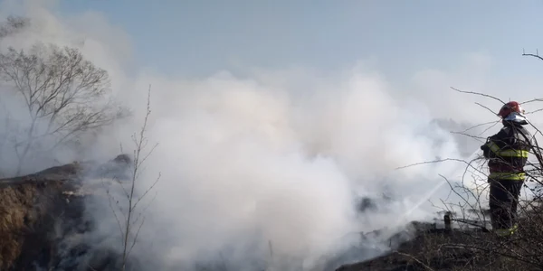 incendiu vegetatie Braila FOTO ISU Brăila 1