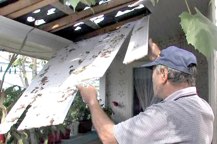 Câţiva localnici s-au apucat să-şi repare singuri acoperişurile