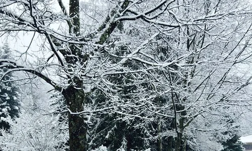 1468528 967539759926242 4330505320129858671 n jpeg