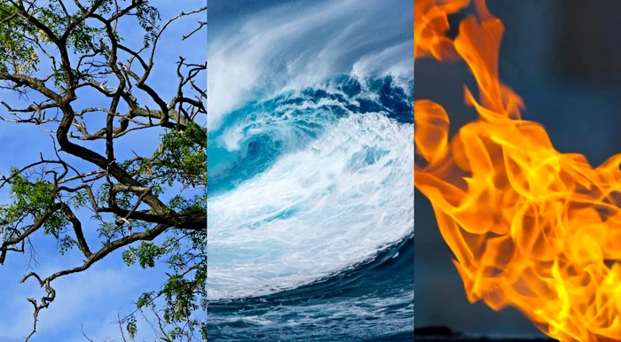 Alege una dintre cele 3 imagini