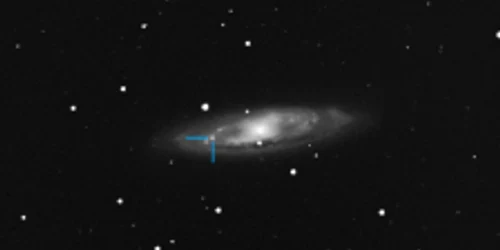 Supernova in galaxia M65