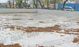 CLIIMA20121031 0048 1 jpeg