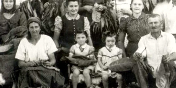 Suvenire şi impresii