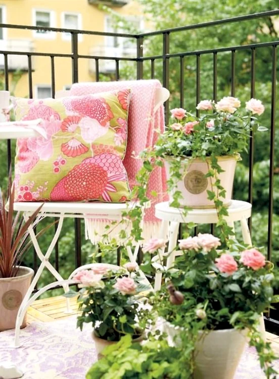 Cele mai frumoase flori de balcon
