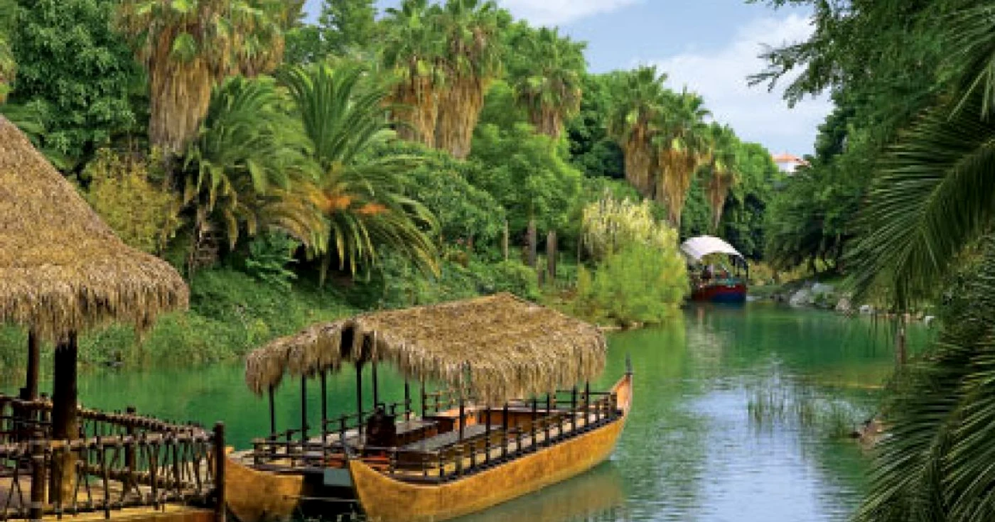 Cea mai mare pădure tropicală din lume, în pericol FOTO Arhivă