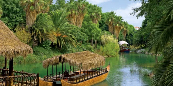 Cea mai mare pădure tropicală din lume este în pericol