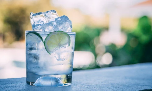 Lucruri interesante despre gin care te pot surprinde jpeg