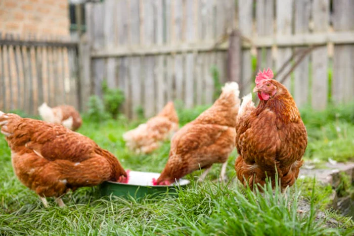 Este un detaliu important de știut / foto: IStock