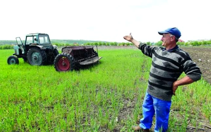 Tot mai mulţi olteni aleg viaţa la ţară Foto:Arhiva
