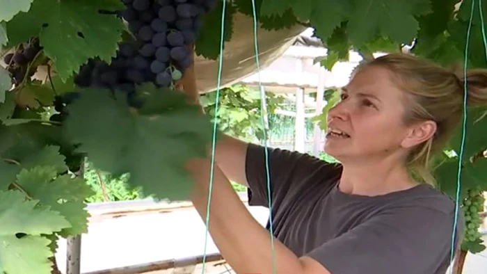 Mihaela este un agricultor pasionat / foto: Observator