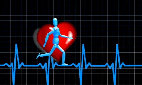 puls 600x400 jpeg