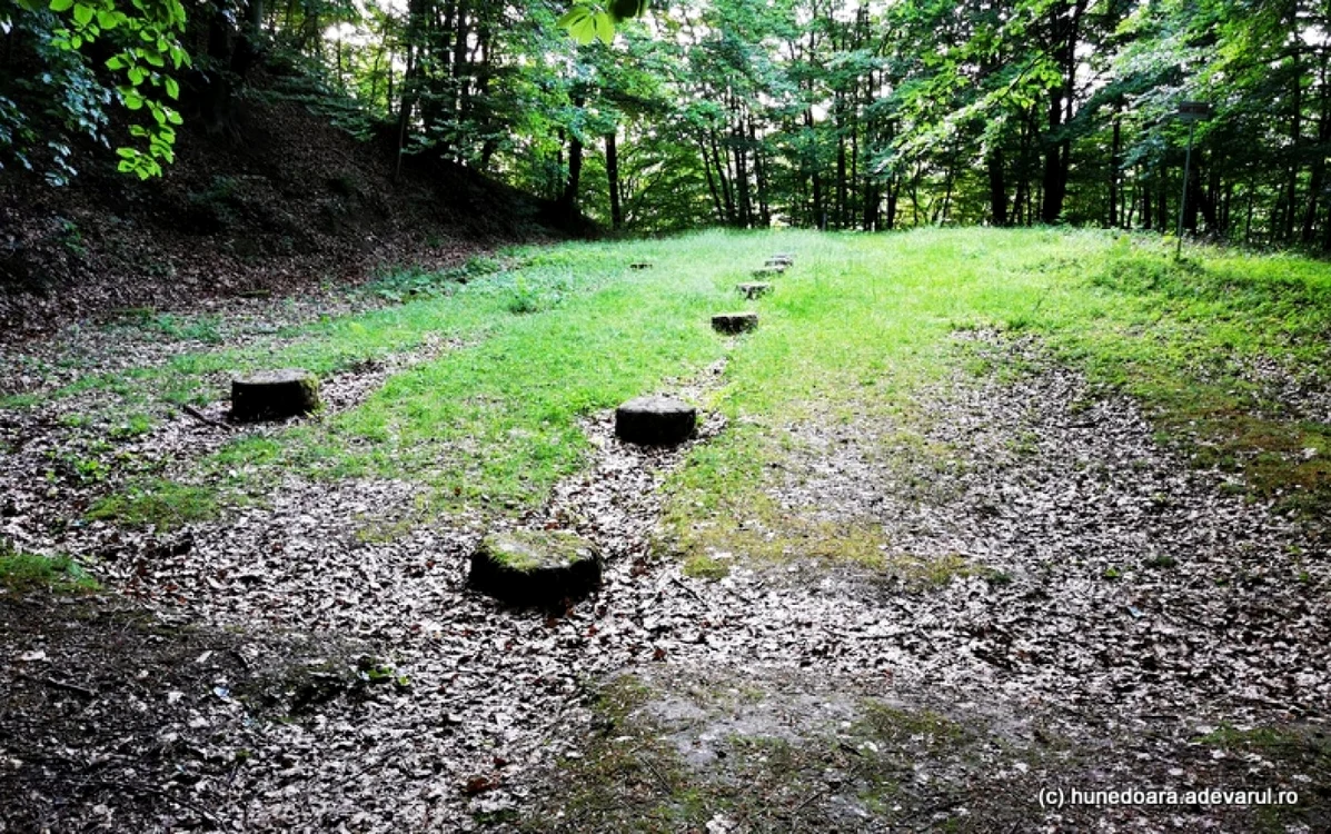 Sanctuar dacic în cetatea Costești. Foto: Daniel Guță. ADEVĂRUL