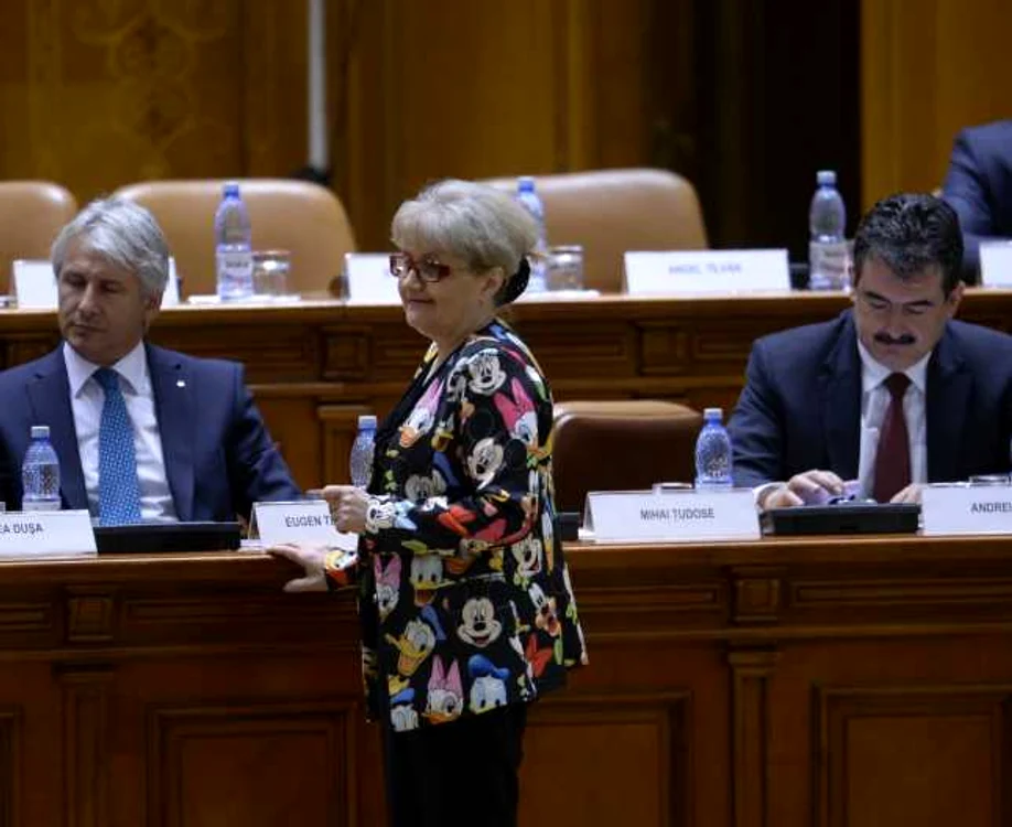Cristiana Anghel a ajuns în Parlament făcând greva foamei FOTO Arhiva Adevărul