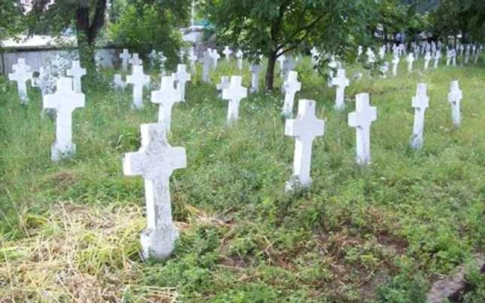 Ceremonie de reinaugurare a Cimitirului de Onoare Românesc, de la Garnizoana Teiş, cu ocazia Zilei Armatei Romaniei