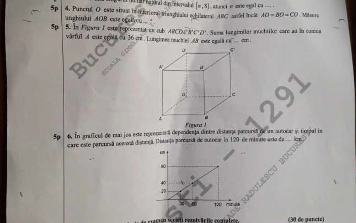 subiecte simulare mate capacitate