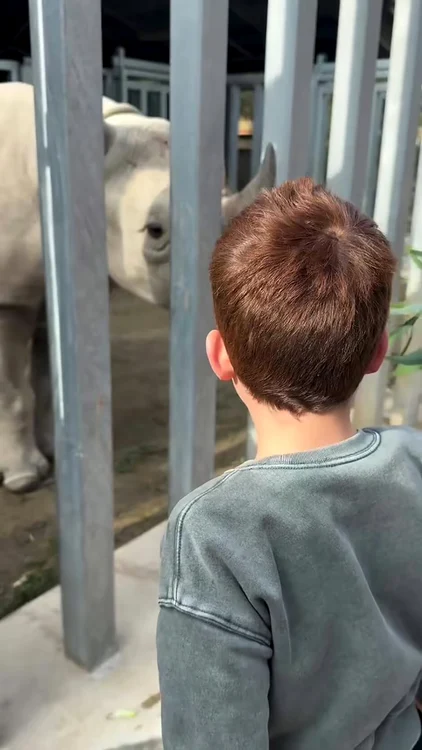 Archie și rinocerul jpg