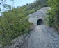 Tunelurile feroviare de pe Valea Mureșului  Foto Daniel Guță  ADEVĂRUL (5) jpg