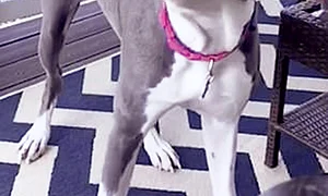 23 baza stanga foto1 jpeg