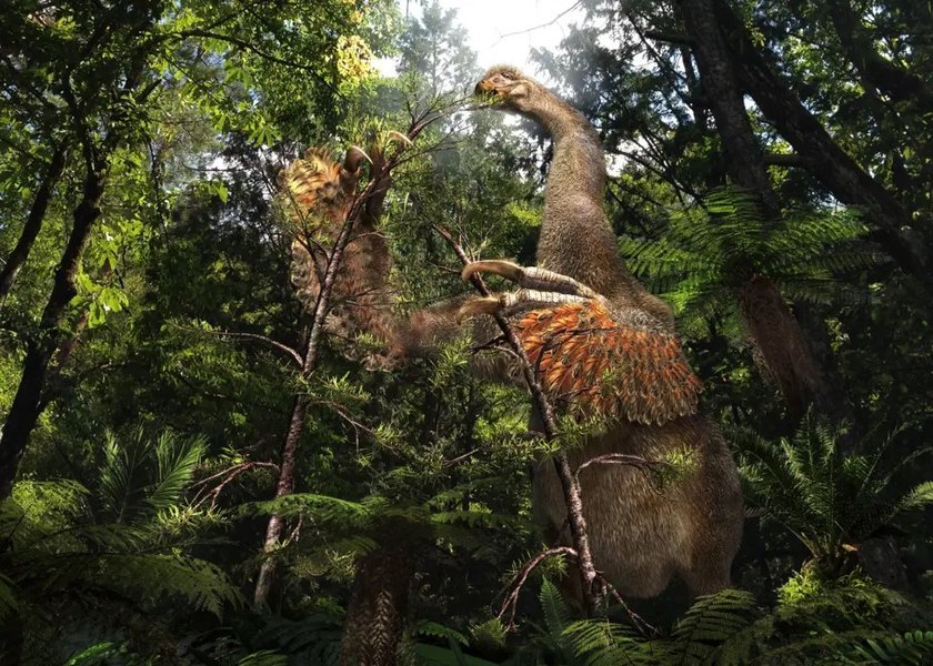 O specie rară de dinozaur cu două gheare, descoperită de oamenii de știință în deșertul Gobi din Mongolia