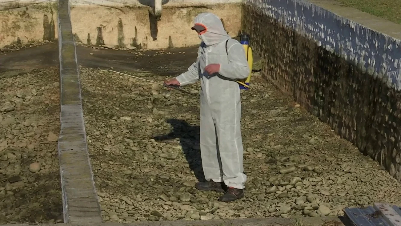Sursa Arhivă adevărul.ro