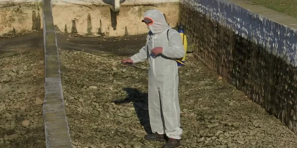 buzaudezinfectarepeste