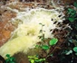 exploatarea rosia montana foto lucian muntean LM 25 JPG