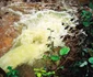 exploatarea rosia montana   foto lucian muntean LM 25 JPG
