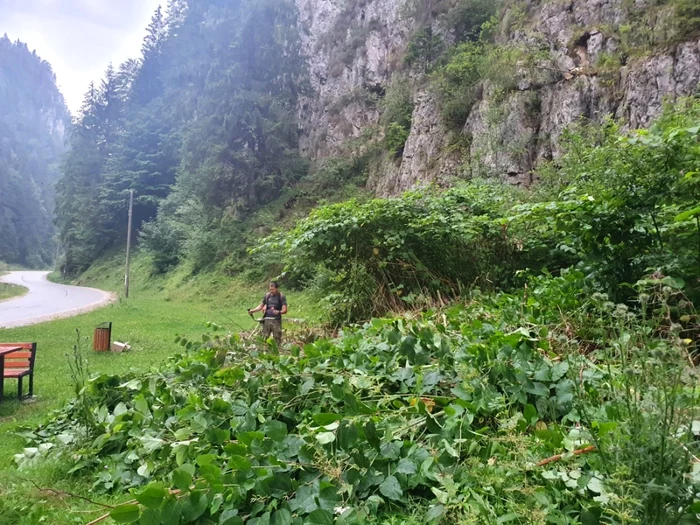 Dâmbovicioara Foto: Facebook Parcul Naţional Piatra Craiului