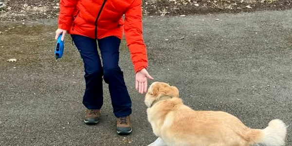 Maia Sandu plimbare caine FOTO Instagram jpeg