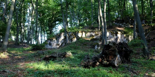 magura calanului