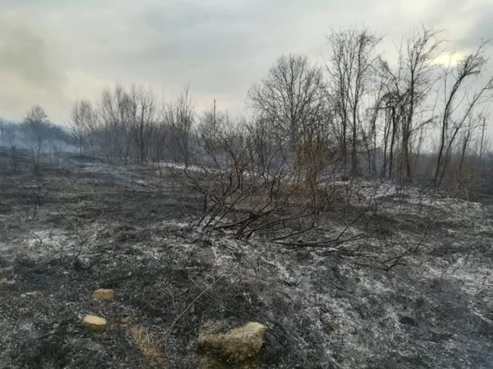 Incendii vegetaţie uscată