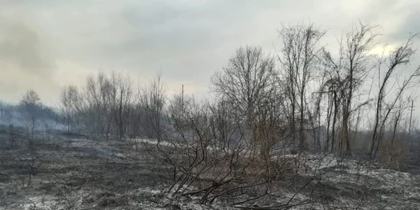 Incendii vegetaţie uscată