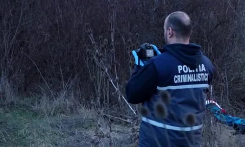 criminalisti jpeg