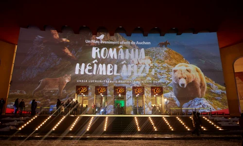 28954531 10209082276373937 174612718065054589 o jpeg