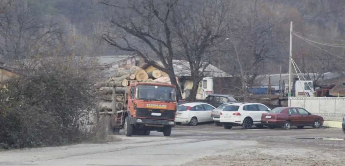 Camioanele încărcate cu lemn au fost filmate de reprezentanţii Greenpeace