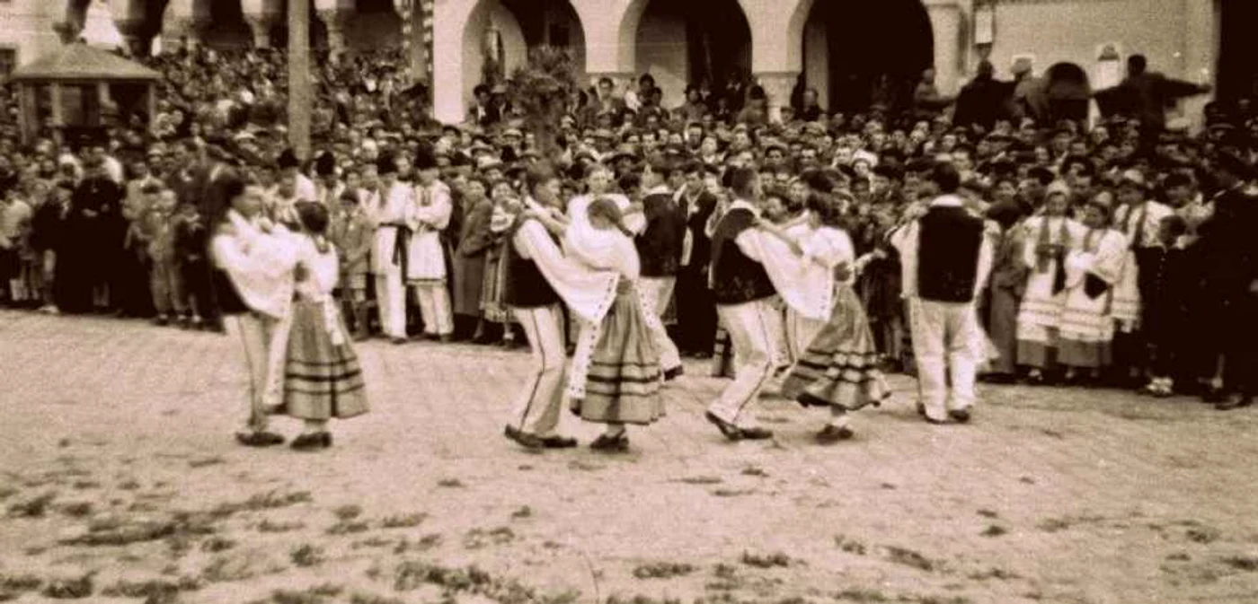 hunedoara