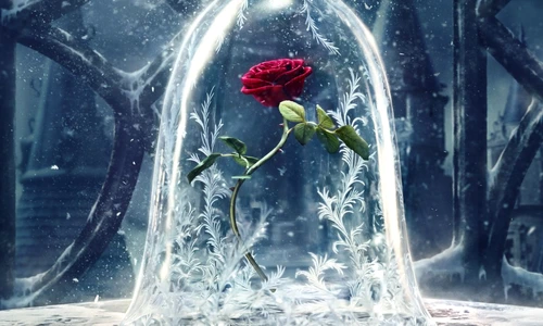 1 79305 original jpg jpeg