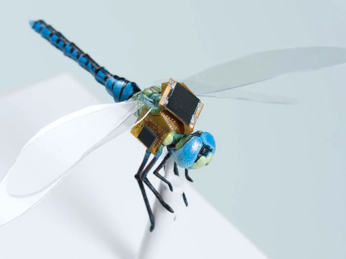 Minidrone în fomă de insecte/FOTO:X